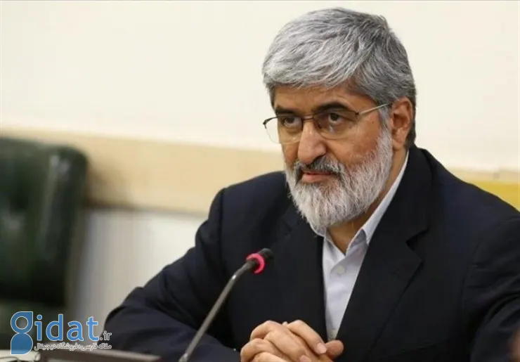 مطهری: دولت حق ندارد قانون حجاب را رعایت نکند