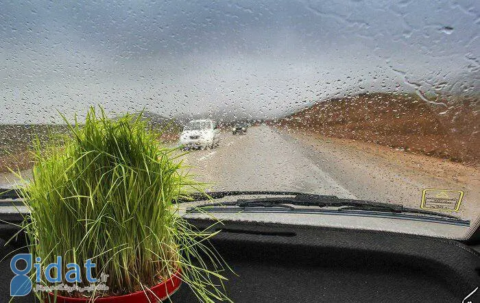 پیش بینی 13 روز بارندگی برای این استان ها