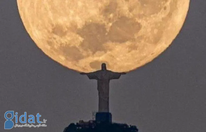 عکاس برزیلی بعد از 3 سال موفق به ثبت این عکس بی‌نظیر شد