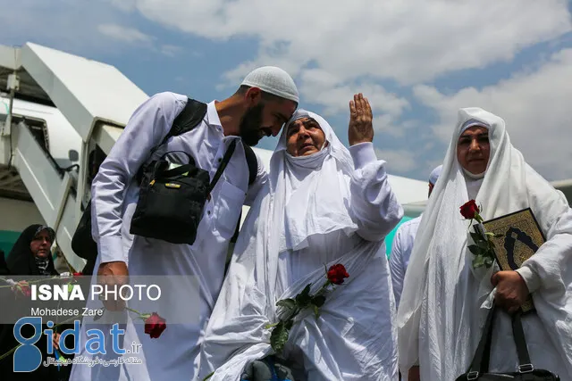تصمیم جدید ایران با همکاری دولت عربستان سعودی