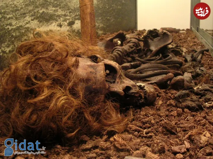 بازسازی چهره مردی که 700 سال پیش به قتل رسید