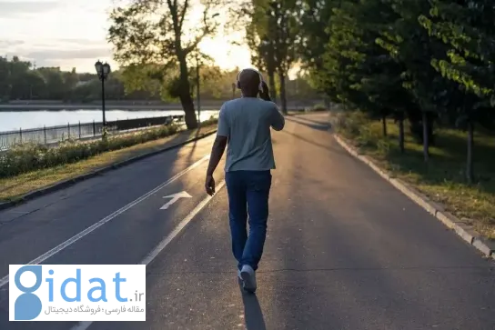 قانون راه رفتن ژاپنی ۶-۶-۶ چیست؟