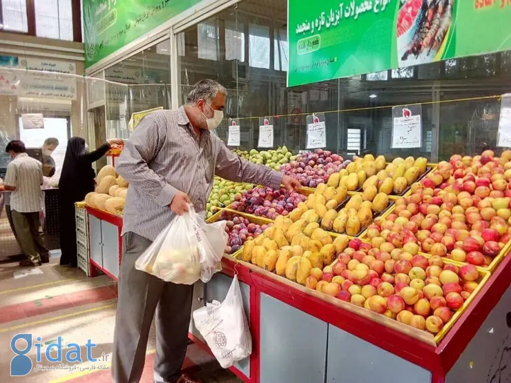 قیمت میوه‌های تابستانی نجومی شد
