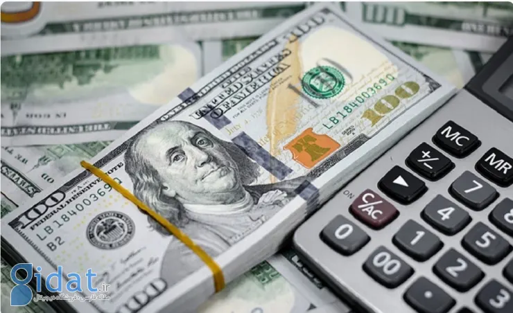 ادعای عجیب یک اقتصاددان درباره قیمت دلار
