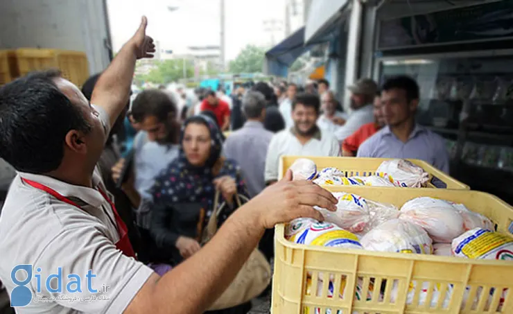 قتل بر سر گرانی مرغ و وضعیت آقای قالیباف