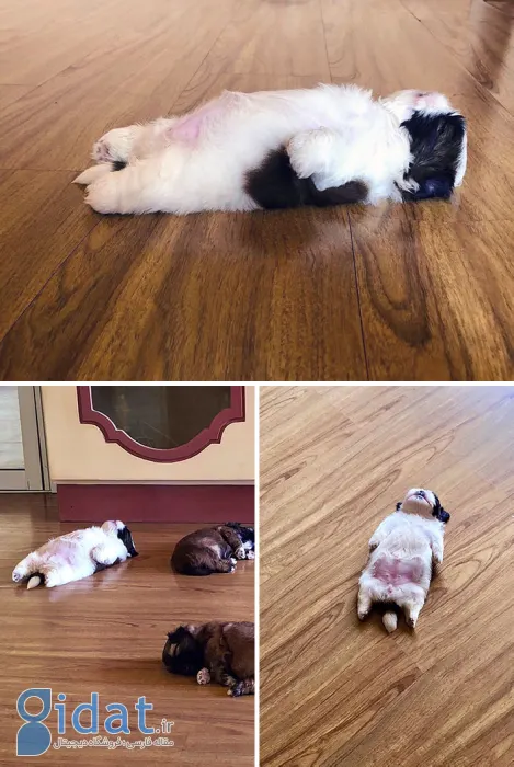 تصاویری از بامزهترین بچههای دنیا که روزتان را میسازد