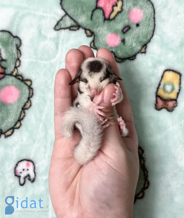 تصاویری از بامزهترین بچههای دنیا که روزتان را میسازد