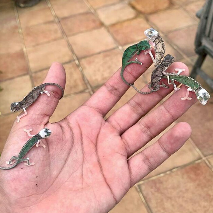 تصاویری از بامزه‌ترین بچه‌های دنیا که روزتان را می‌سازد