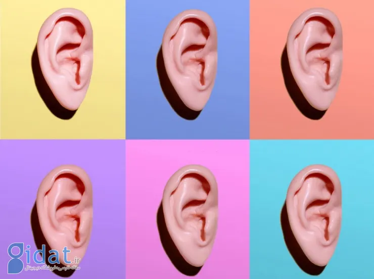 12 واقعیت عجیب و شگفت‌انگیز درباره گوش‌های شما