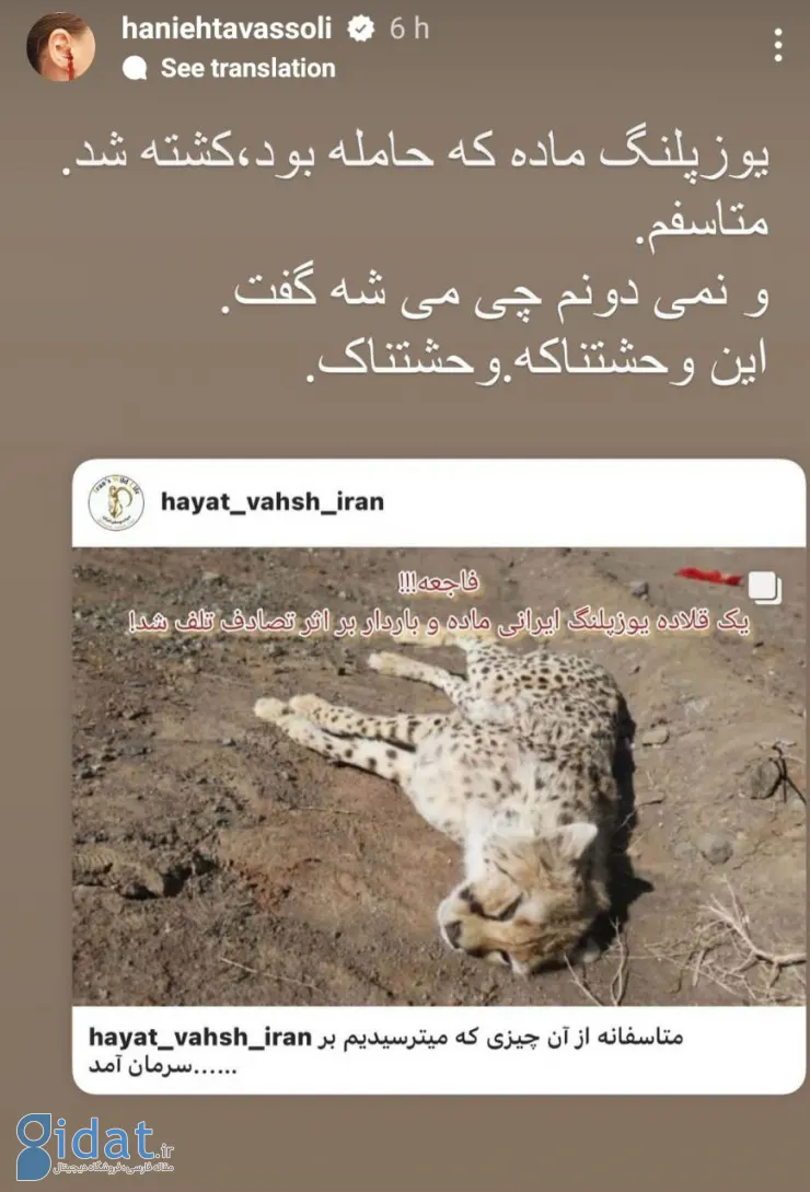 واکنش هانیه توسلی به مرگ یوزپلنگ باردار