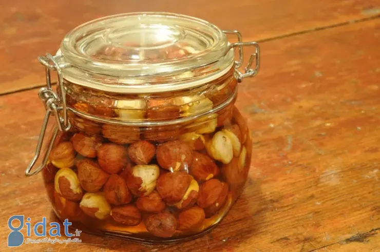 طرز تهیه ترشی فندق؛ یک چاشنی فوق العاده خوشمزه