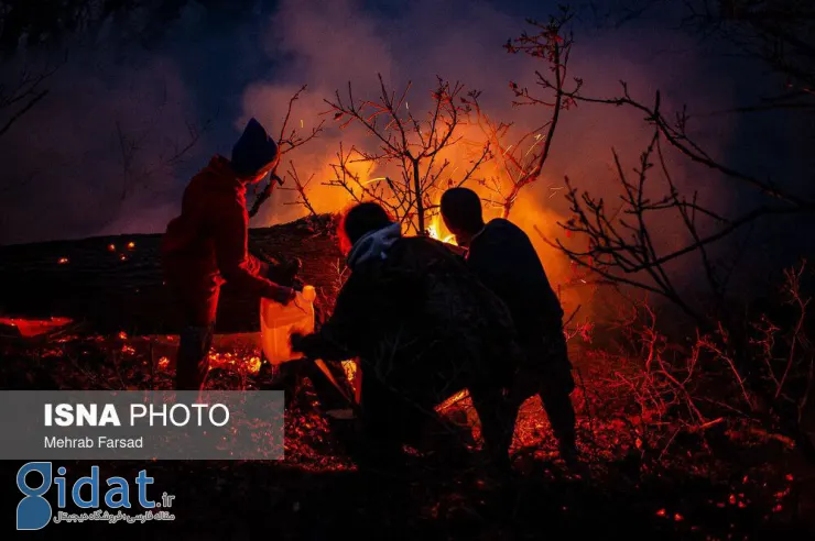 ایران از کشورهای همسایه درخواست کمک فوری کرد