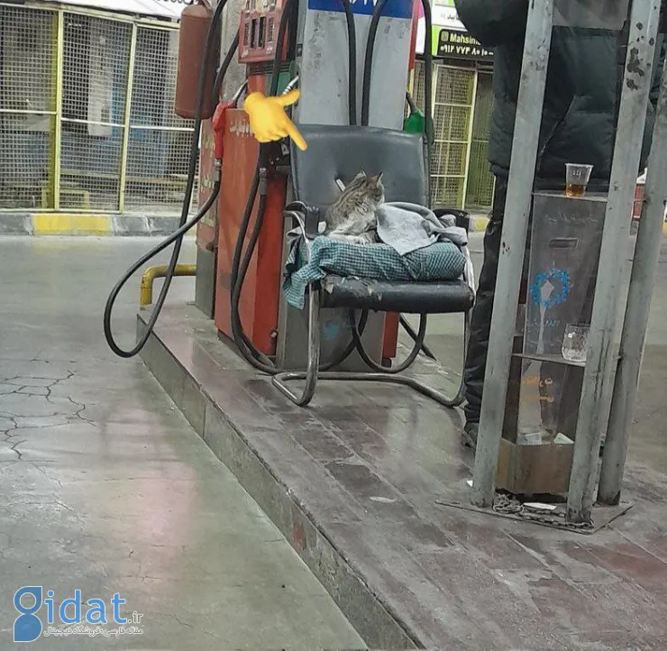 صحنه‌ای زیبا که توسط یک متصدی پمپ بنزین خلق شده است