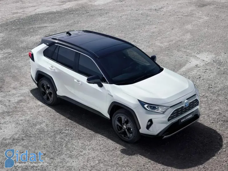 toyota-rav4-hybrid-2019-high-side-view