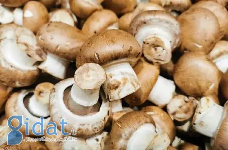تاثیر شگفت انگیز قارچ در مبارزه با آنفولانزای شدید