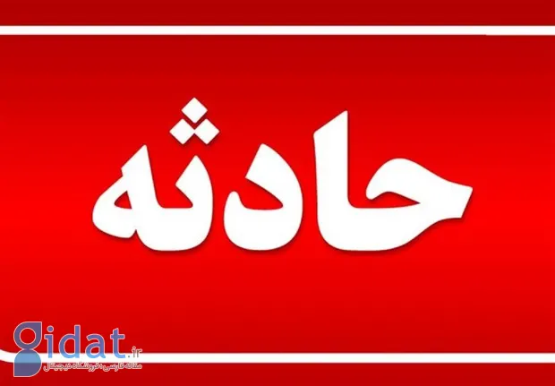 یک دستگاه اتوبوس بین شهری در تربت جام آتش گرفت!