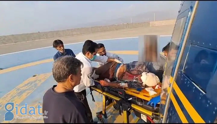 نجات معجزه آسای چوپان از حمله خرس سیاه
