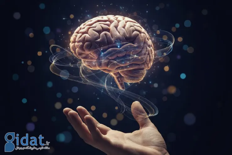 «حس هفتم» در انسان کشف شد!