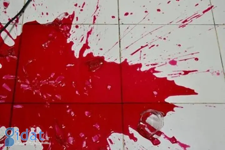 قتل مردی که همسرش را کتک می‌زد توسط برادران همسرش