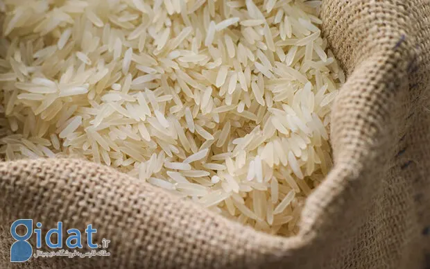 برنج پاکستانی باید جایگزین برنج هندی شود