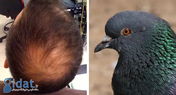 با ۱۰ مورد از عجیب ترین ترندهای زیبایی تاریخ آشنا شوید