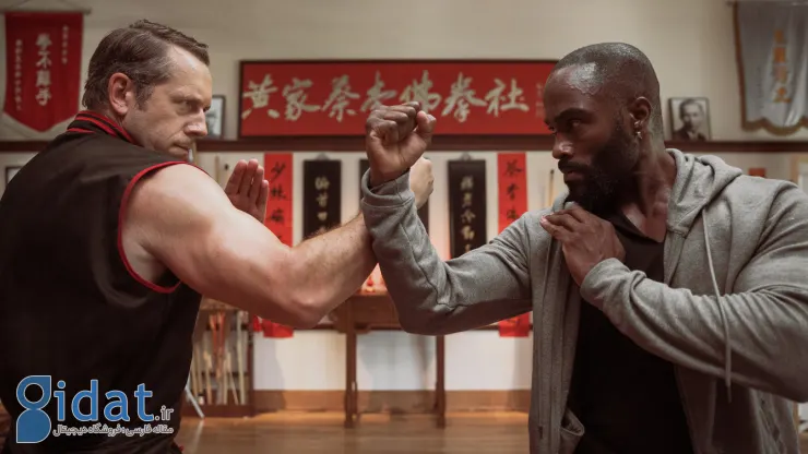 Modern-martial-arts-movie-11