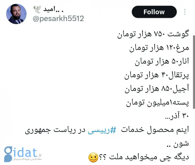 جناب رئیسی، شما  تو قایق نشستی، ما فکر بادمجان هستیم!