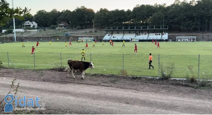 تصویر باورنکردنی از محل تمرین پرسپولیس در ترکیه!