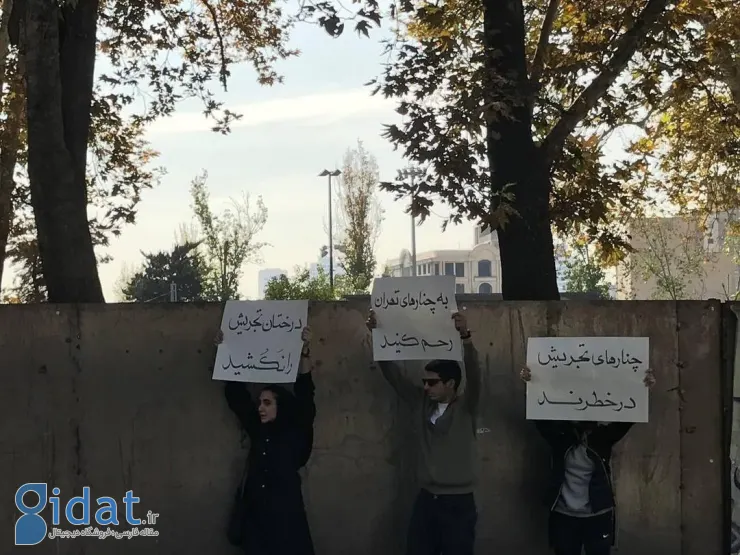 ماجرای تجمع علیه شهرداری در تجریش تهران