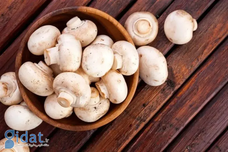 برای سلامت قلب خود قارچ بخورید
