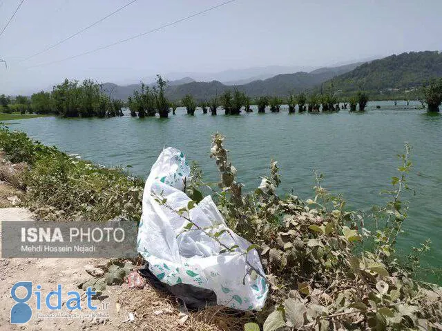 مسافران از دیدن این تصاویر خجالت بکشند!