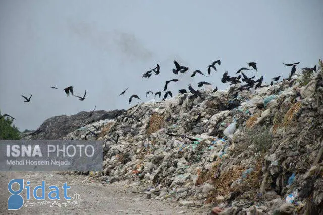 مسافران از دیدن این تصاویر خجالت بکشند!