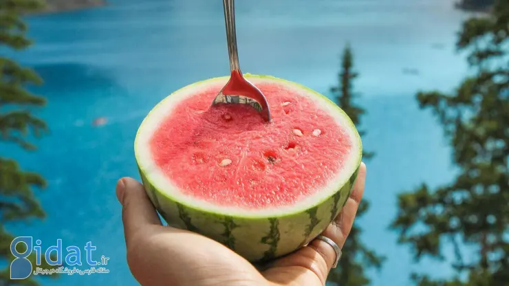 هندوانه شب یلدا را به شرط چاقو نخرید!