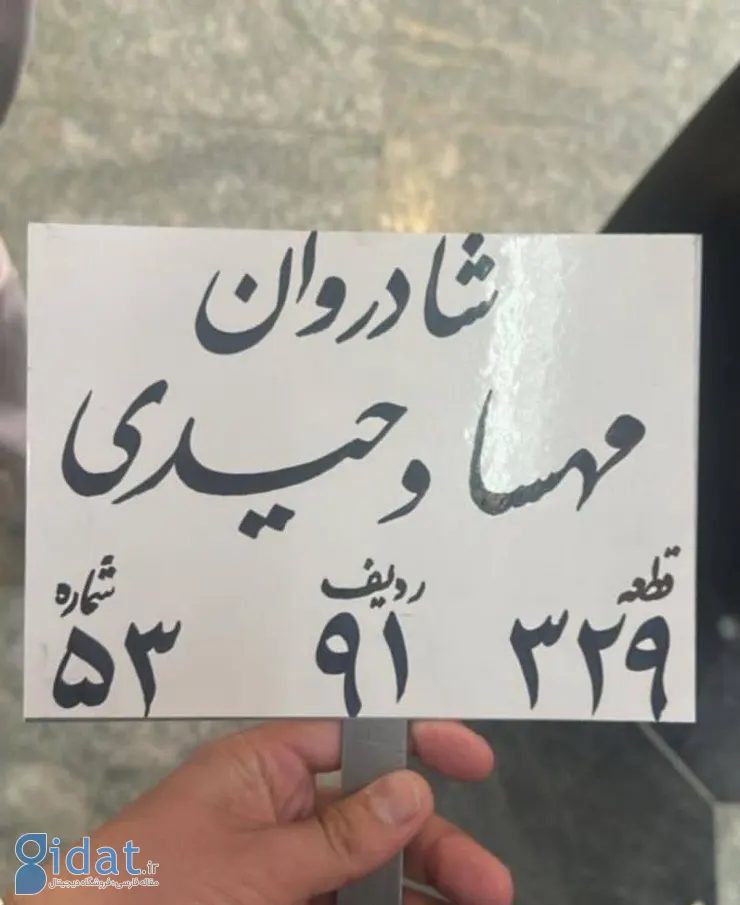 وبلاگ نویس معروف طنز درگذشت