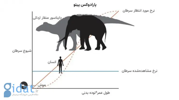 راز مبتلا نشدن به سرطان