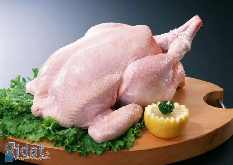 دو قسمت خطرناک مرغ برای سلامتی چیست؟