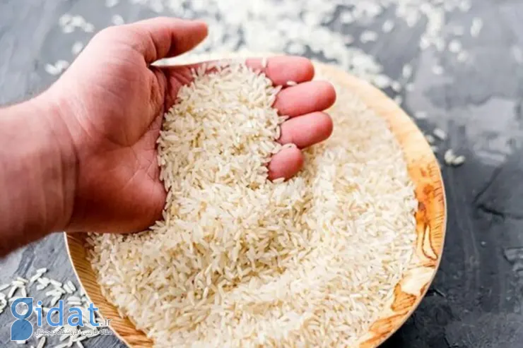 افزایش صادرات برنج پاکستان به ایران