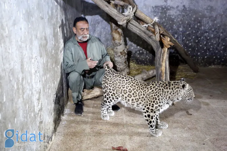 این مرد ۷۰۰ حیوان در خانه‌اش نگهداری می‌کند