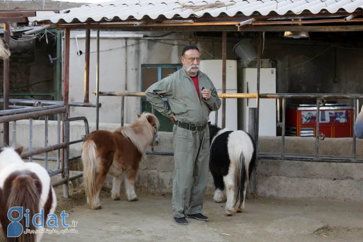 این مرد ۷۰۰ حیوان در خانه‌اش نگهداری می‌کند