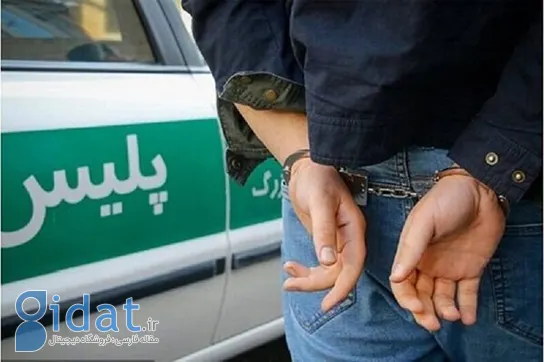 کلاهبردار میلیاردی هنگام فرار از کشور دستگیر شد