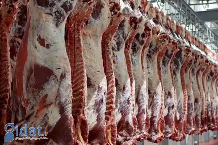 دیکشنری مترجم بپرس