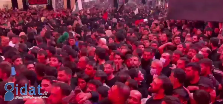 علی لاریجانی در میان خیل عظیم عزاداران در کربلا