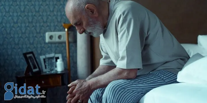 مسن‌ترین استان‌های کشور اعلام شدند