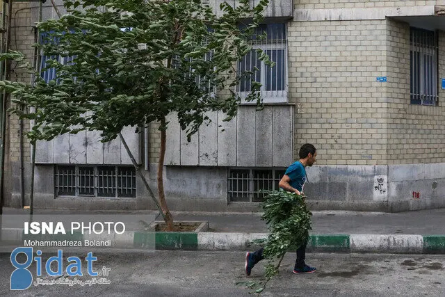افزایش ناپایداری جوی تهران از هفته آینده