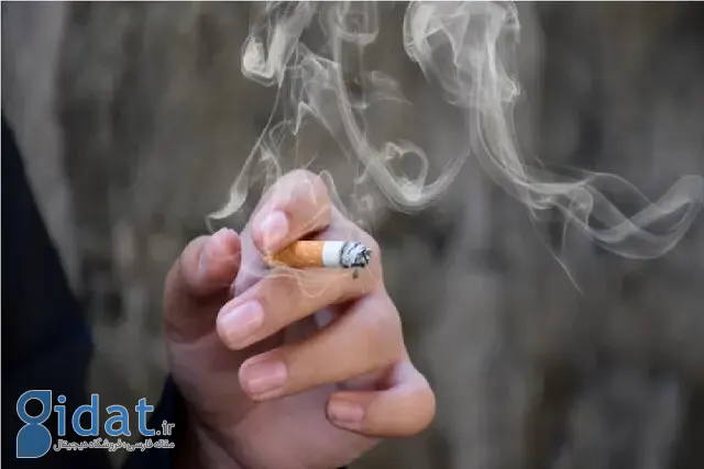 تاثیر سیگار بر کاهش باروری زنان
