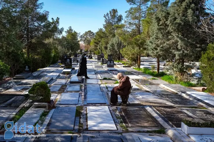 اگر زیبا نبود، نخبه نمی‌شد. اما او انسان بود