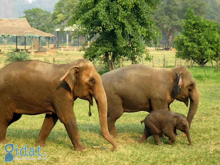 تور پاتایا، تجربه سفر به شهری که خواب ندارد!