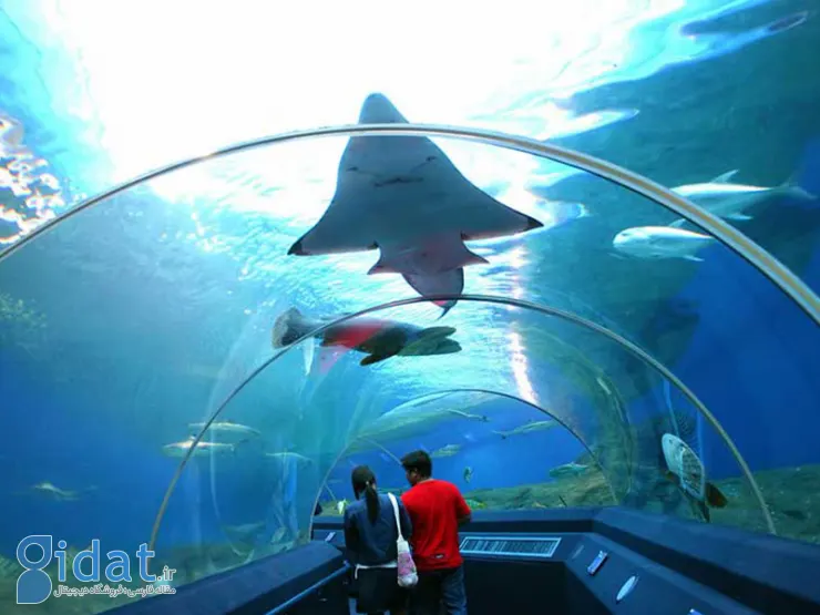 تور پاتایا، تجربه سفر به شهری که خواب ندارد!