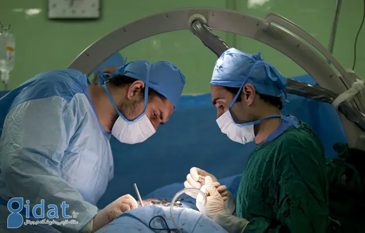 d6e219d2-06ca-479e-84b1-f880b83f81c2