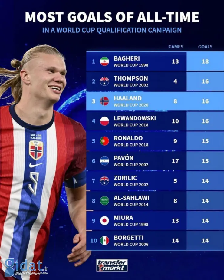 IMG_20251117_231249_495